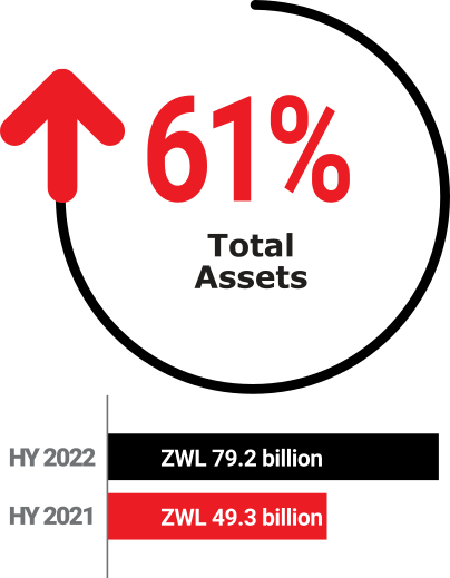 FMP HY2022: Total Assets: +61%