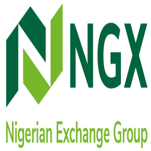 Nigerian Exchange Group Plc (NGXG.ng) logo
