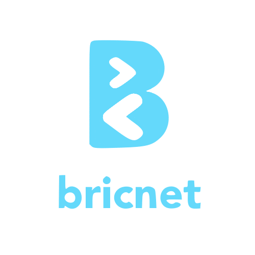 Briclinks Africa Plc (BAPLC.ng) logo
