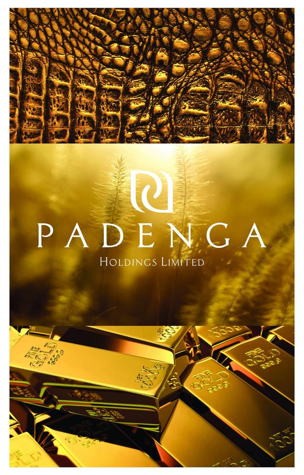 Padenga Holdings Limited 2022 Interim Results For The Half Year