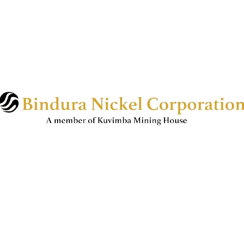 Bindura Nickel Corporation Limited (BIND.vx) logo