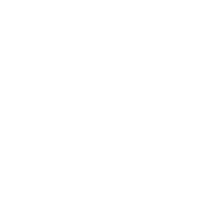 TSL Logo White