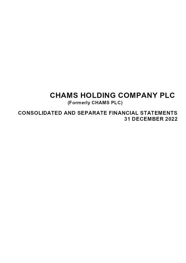 Chams Holding Company Plc 2022 Annual Report