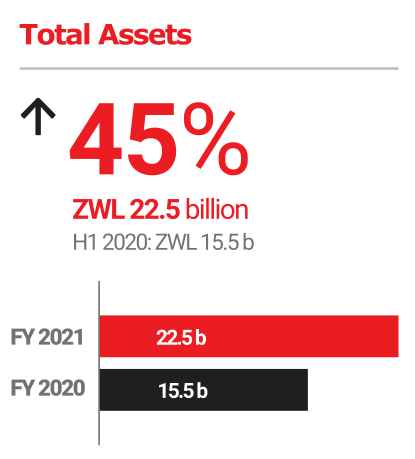 FMP FY2021: Total Assets: +45%
