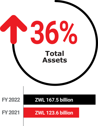 FMHL: FY2022 - Total Assets: +36%
