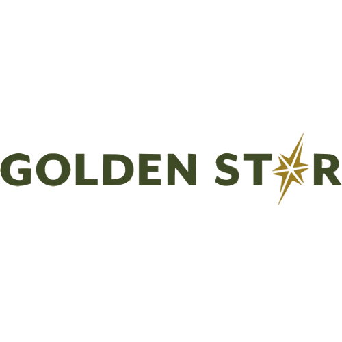 Golden Star Resources Limited Gsr Gh Africanfinancials
