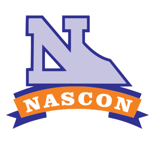 National Salt Company Nigeria Plc (NASCON.ng) logo