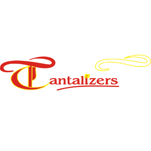 Tantalizers PLC (TANTAL.ng) logo