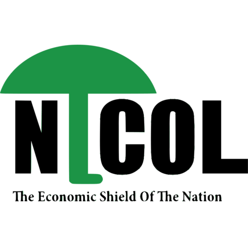 National Investments Company Limited (NICOL.tz) logo