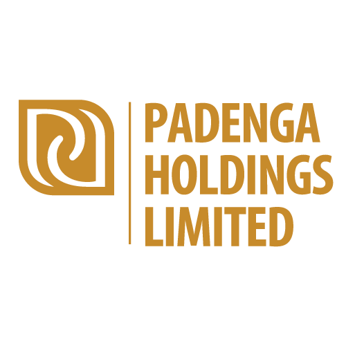 Padenga Holdings Limited (PHL.zw) logo